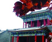 昌邑后天天气