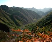 靖远明天天气