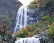 茂县天气预报60天